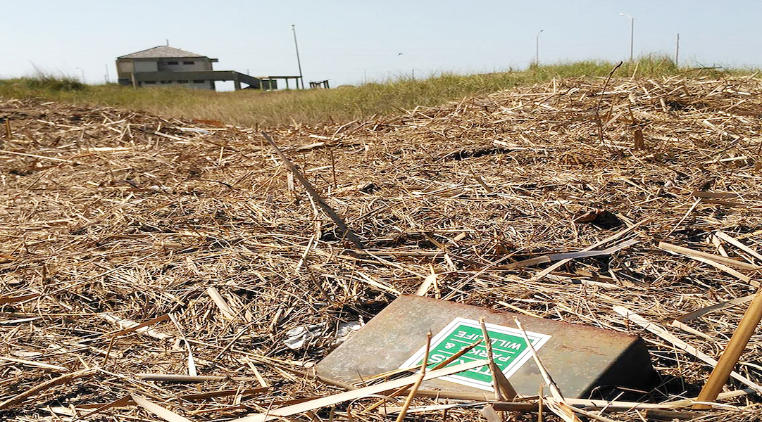 While Mustang Island State Park's beach and dunes did not sustain any damage from Hurricane Harvey, much of the park’s infrastructure was destroyed. Courtesy photo