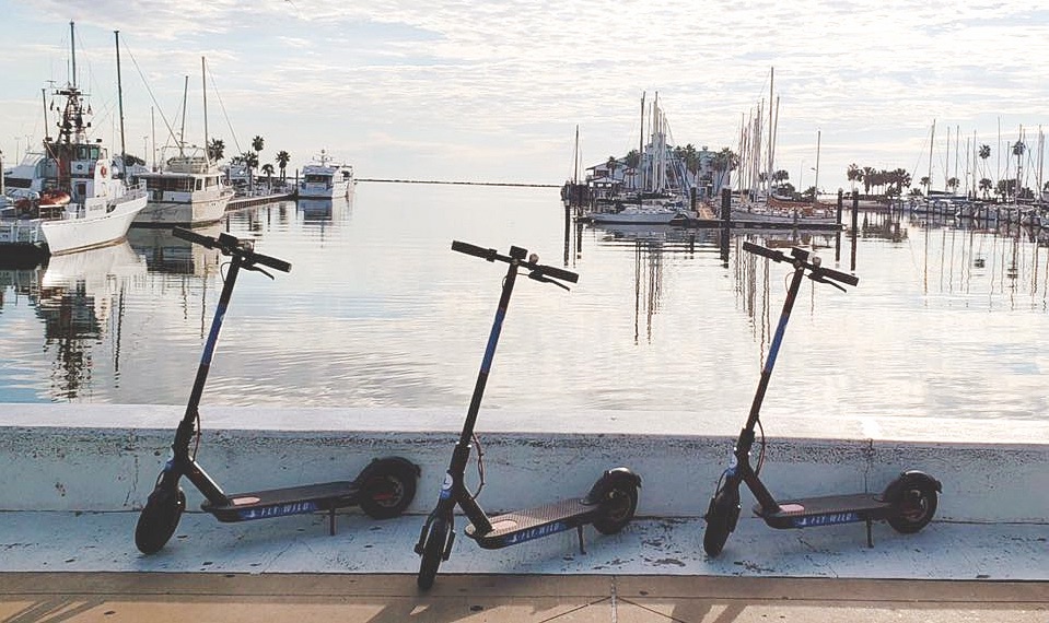 Blue Duck scooters are one of three brands of electric dockless scooters offered in downtown Corpus Christi. With Bird Rides and LIme, the three companies have about 100 scooters total for rent. Courtesy photo