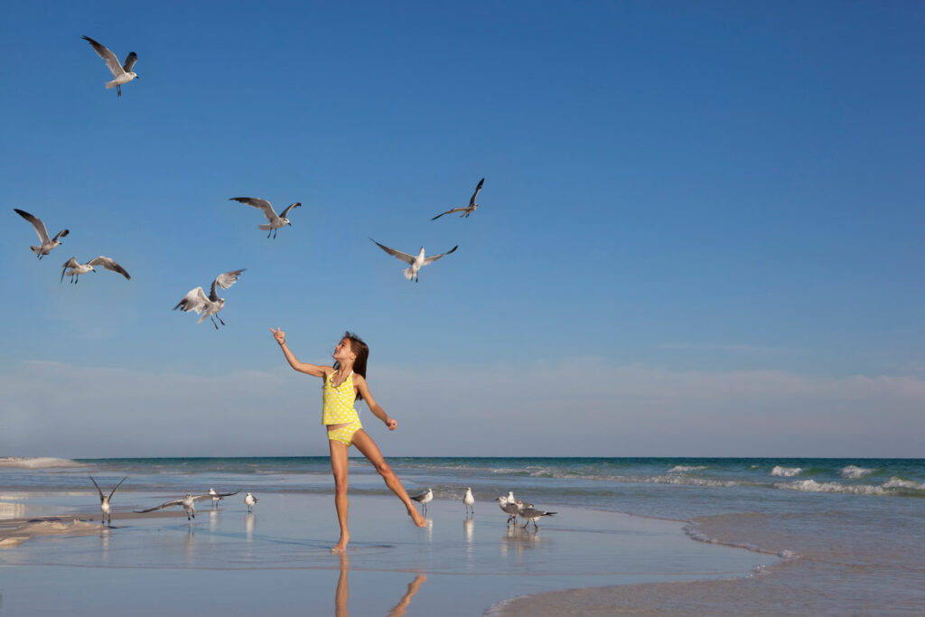 Feeding seagulls on the beach can be fun, but be careful where and how you do it.