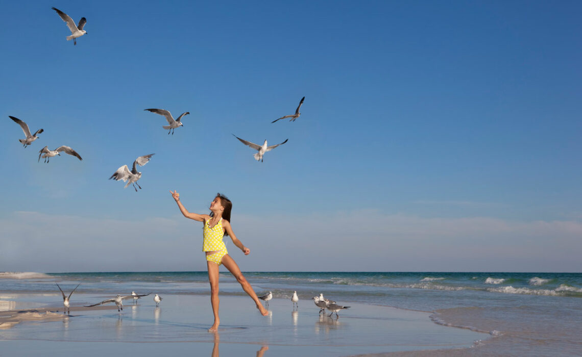 Feeding seagulls on the beach can be fun, but be careful where and how you do it.