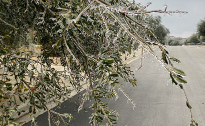 The Corpus Christi Museum of Science and History is presenting a talk on the major winter storm that occurred in February 2021. Courtesy photo