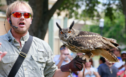 Watch a variety of raptors spread their wings in the Wild Sky Production Raptor Show during Earth Day Bay Day on April 7 in Heritage Park. Courtesy photo