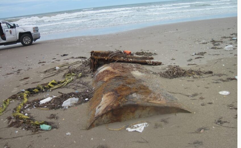 Crews are still removing trash and debris washed up by Hurricane Hanna’s storm surge at Padre Island National Seashore. The park reopened Thursday, Aug. 20. Courtesy photo