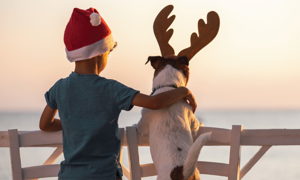 Dogs get in on the Christmas event action this final week of holiday happenings with the Gulf Coast Humane Society’s Christmas in the Dog Park on Friday-Tuesday, December 20-24.