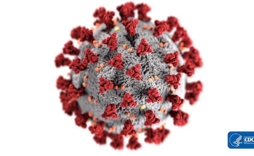 Corona in latin means halo or crown. An illustration created by the Centers for Disease Control shows where the virus got its name. The spikes on the surface project the look of a crown surrounding the virion (center) when viewed under a microscope. Courtesy illustration CDC