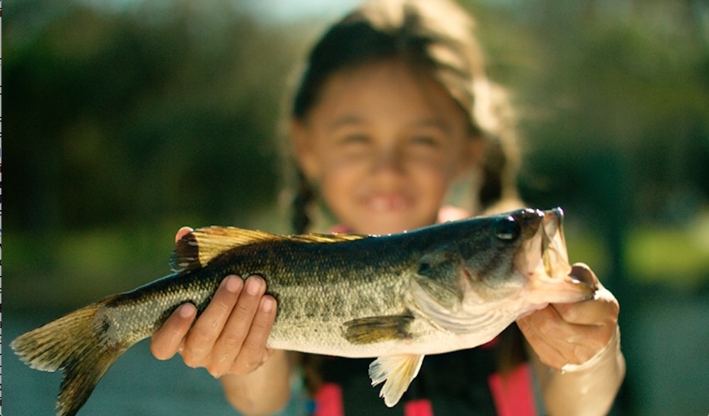 Fish any body of water in the state of Texas free (meaning no fishing license needed) on Saturday, June 1. Texas hosts a free fishing day every first Saturday in June for National Fishing and Boating Week.