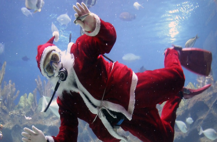 Santa scuba dives in the Flower Gardens exhibit at the Texas State Aquarium in Corpus Christi at 11 a.m. and 2 p.m. daily from Dec. 13-24. Courtesy Photo