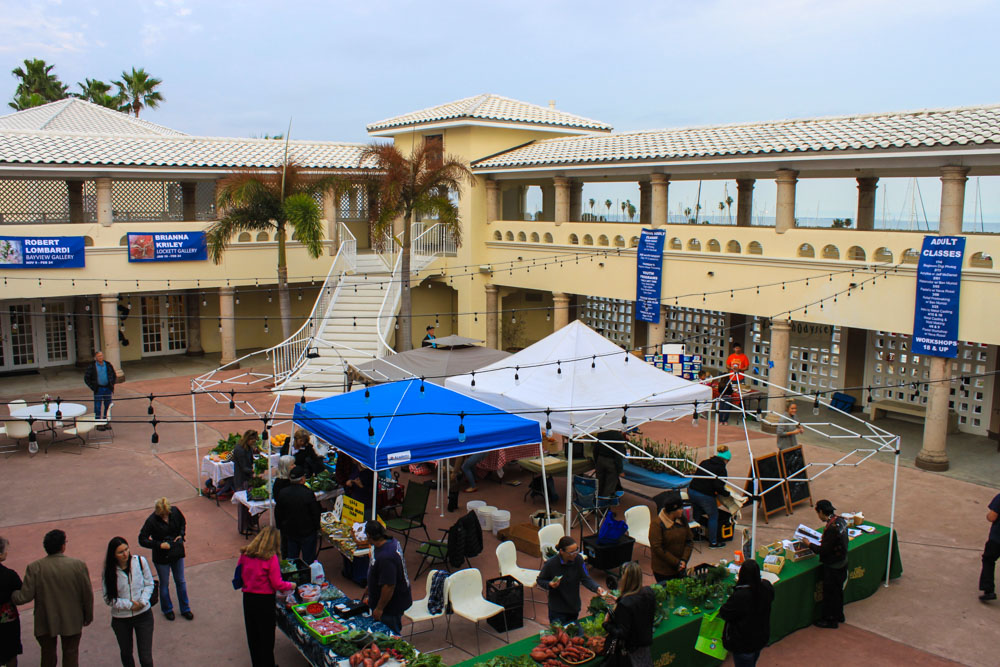 Catch the Corpus Christi Downtown Farmer’s Market Wednesday nights at the Art Center of Corpus Christi. Photo by JoAnna Kopp