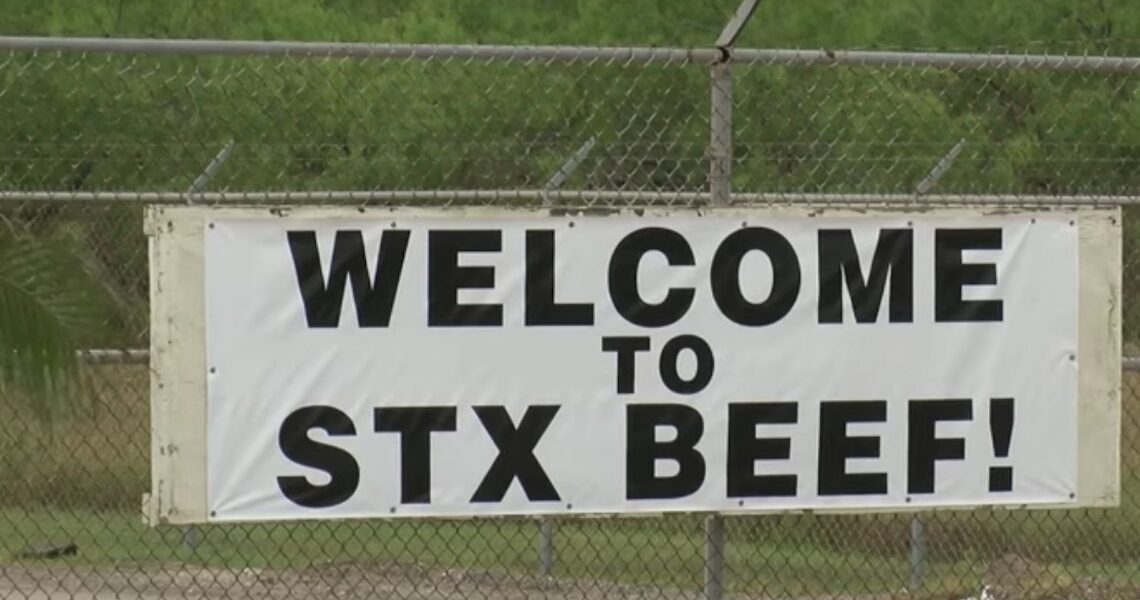 An STX Beef sign covers the entrance gate at the former Kane Beef plant on Leopard Street in Corpus Christi. The plant reopened under new ownership March 25. It had closed in January after filing for bankruptcy.