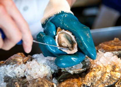 Join the oyster shucking contest at the Fulton Oysterfest.
