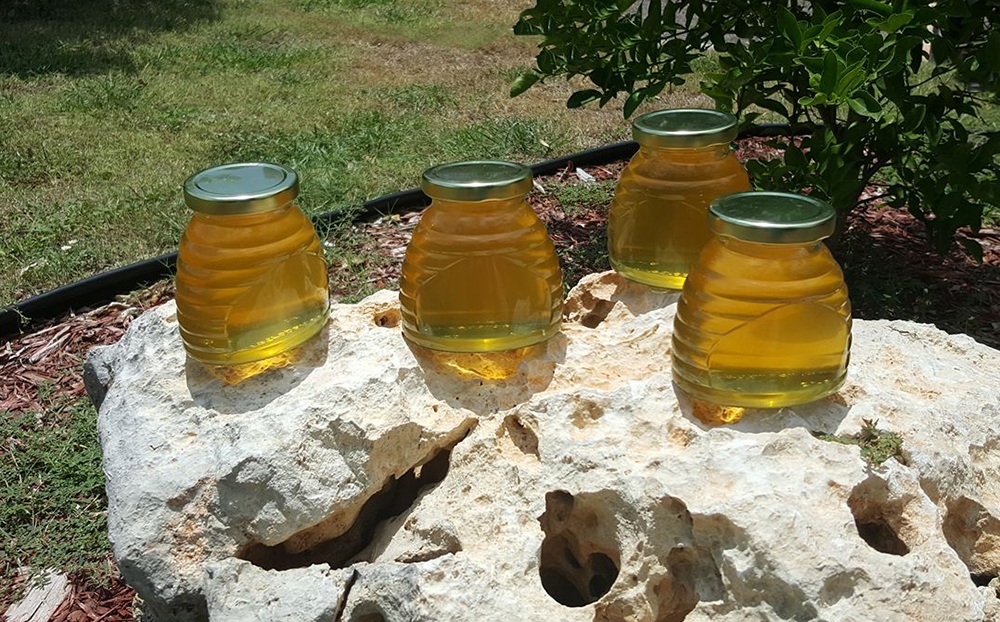 This honey was produced from a Flow Hive in Port Aransas in early August. The main nectar source, reported owner Deborah Hopkins Sweatman, was palm trees. Courtesy photo