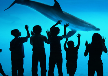 Corpus Christi has plenty of events throughout the year to keep the little ones happy.