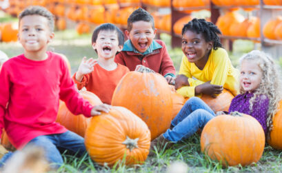 Precisely pick the perfect pumpkin from a pumpkin patch near you.