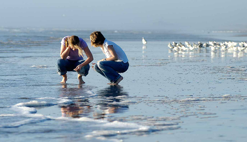 The seaweed is not removed from Natural Beach, making it a great place for beachcombing. Photo courtesy of TPWD