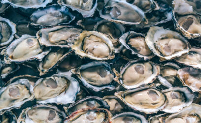 Farmed oysters are rounder and more consistent in size than wild harvested oysters.