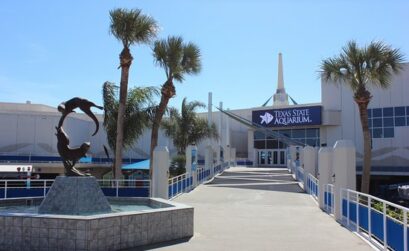 The Texas State Aquarium is open on Thanksgiving and has a special and complimentary menu for its guests. Courtesy photo