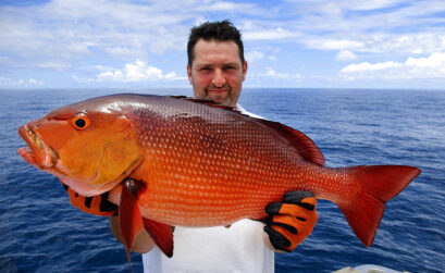 Red snapper were almost fished out of existence in the 1970s and 1980s. Federal regulations and fishery management have brought the population back. Now, anglers and regulators tussle over fishing days each year.