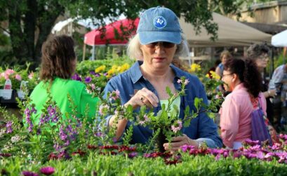 Find a wide selection of flowers, herbs, and more to grow in your garden at the South Texas Botanical Gardens & Nature Center's annual plant sale. Courtesy photo