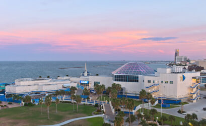 The Texas State Aquarium is one of 10 major attractions in Corpus Christi with half-off admission for the month of October. Courtesy photo