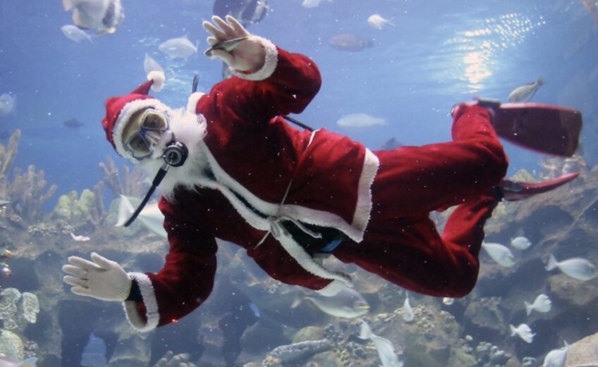 Scuba Santa draws in visitors for holiday selfies every year. Watch Santa feed the fish in Caribbean Journey. Courtesy photo