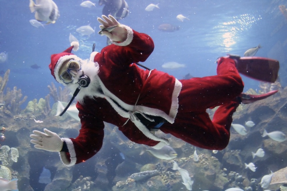 Scuba Santa draws in visitors for holiday selfies every year. Watch Santa feed the fish in Caribbean Journey. Courtesy photo