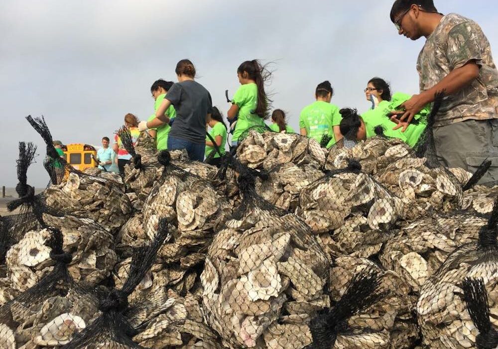 Volunteers bag oyster shells collected from Coastal Bend restaurants to dump back into area bays to restore reefs and ultimately grow more tasty bivalve mollusks. Courtesy photo