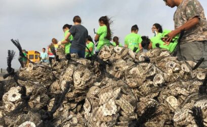 Volunteers bag oyster shells collected from Coastal Bend restaurants to dump back into area bays to restore reefs and ultimately grow more tasty bivalve mollusks. Courtesy photo