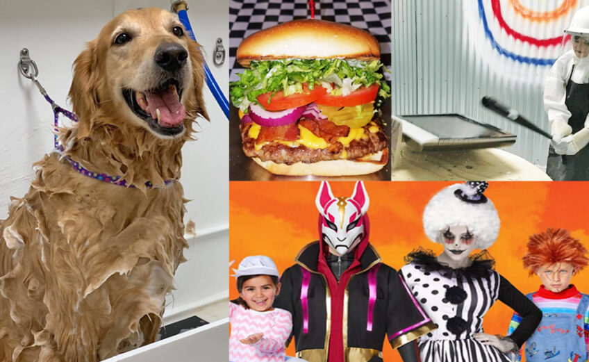 New businesses opening in Corpus Christi include (clockwise from left) Earthwise Pet, a health food and grooming store for pets; GrubTown, a cafe in downtown Corpus Christi; Texas Tantrums, a family entertainment option that allows customers to smash things; and Spirit Halloween, which opens in the abandoned Toys R Us location August 27. Courtesy photos