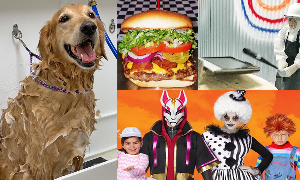 New businesses opening in Corpus Christi include (clockwise from left) Earthwise Pet, a health food and grooming store for pets; GrubTown, a cafe in downtown Corpus Christi; Texas Tantrums, a family entertainment option that allows customers to smash things; and Spirit Halloween, which opens in the abandoned Toys R Us location August 27. Courtesy photos