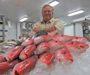 Rick Groomer, president of Groomer’s Seafood, hangs out with a few of his freshest friends in the new wholesale and retail facility in Corpus Christi’s North Beach. Staff photo