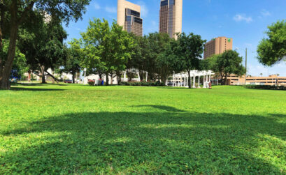 Corpus Christi plans to plant 230 shade trees over the next 10 years in city parks.