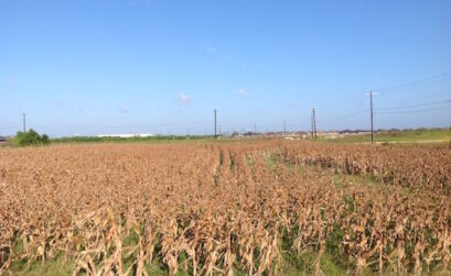 According to GPS, this field represents the area where 17 units of Manhattan Apartments will be built in Southside Corpus Christi at 7001 Lipes Blvd. Photo by Suzanne Freeman