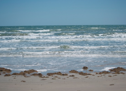 Keep track of bacteria levels on all 14 beaches in the Coastal Bend, including Natural Beach on Padre Island between Bob Hall Pier and Padre Island National Seashore.