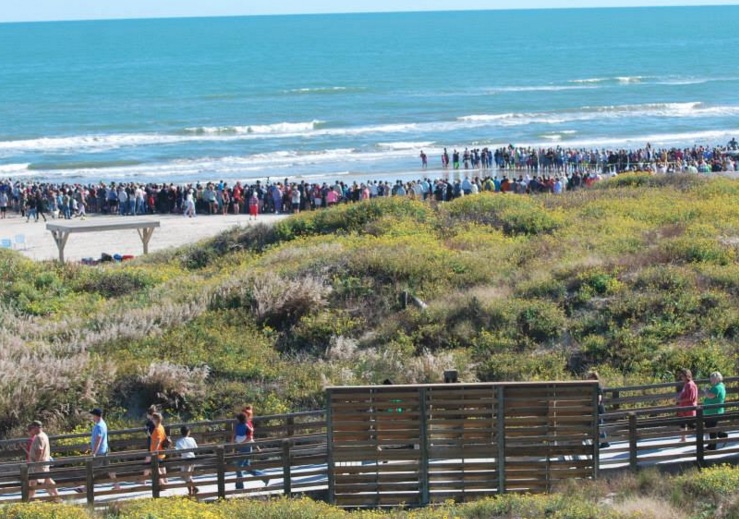 Hundreds make the trek from the Malaquite Visitors Center to the beach at the Padre Island National Seashore for release of cold stunned turtles in Nov. 2014. The boardwalk that connects the two needs to be replaced to be ADA compliant. Courtesy Photo