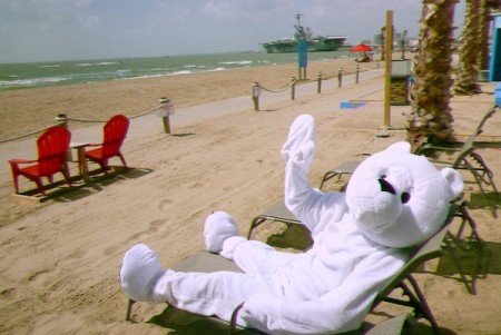 Frio the Bear, mascot for the New Year's Day Polar Bear Plunge, soaks up the rays on North Beach in Corpus Christi. The plunge begins at noon in front of Fajitaville Restaurant, Jan. 1, to raise money for ALS research. Courtesy Photo