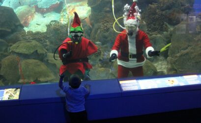 Join Scuba Santa as he feeds the fishes at the Texas State Aquarium Dec. 12-14.