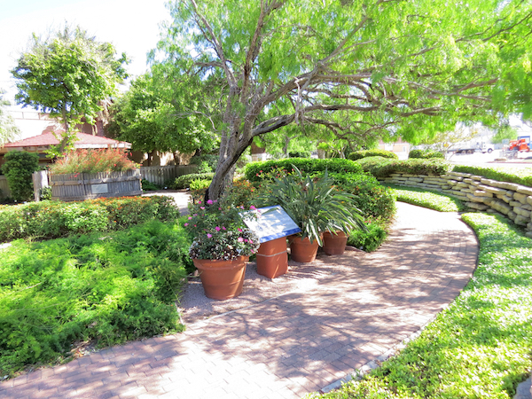 The xeriscape garden at the Corpus Christi Museum of Science and History offers a lush example of how much green you can get while still conserving water.