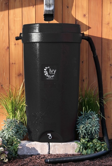 The black IVY rain barrel is made in the U.S. from 100 percent recycled materials. Normally $129, the city of Corpus Christi sold them to utility customers for $49.50.