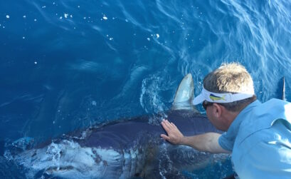 Greg Stunz of the Harte Research Center at Texas A&M University-Corpus Christi pets a mako shark while shooting footage of the elusive mammal for Discovery Channel’s 'Shark Week.' The footage was shot in March and will be aired at 9 p.m. July 5 on the Discovery Channel. Courtesy photo