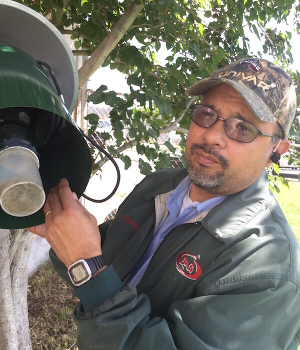 Tony Pantoja collects the mosquitos from a trap set up on city property on Holly Road. Staff Photo