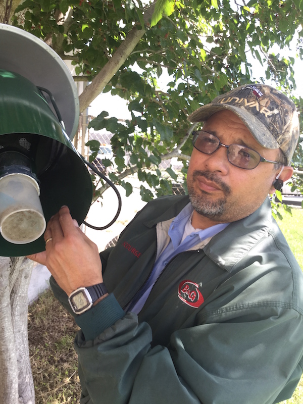 Tony Pantoja collects the mosquitos from a trap set up on city property on Holly Road. Staff Photo