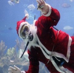 Scuba Santa feeds the wildlife in the Flower Garden exhibit at Texas State Aquarium, Dec. 12-24. Courtesy photo