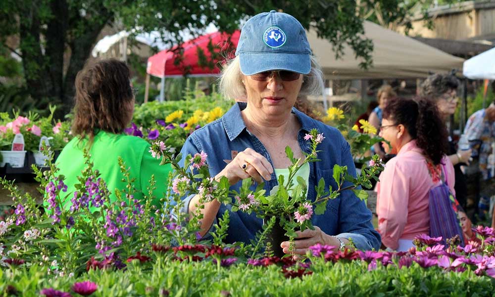 Find a wide selection of flowers, herbs, and more to grow in your garden at the South Texas Botanical Gardens & Nature Center's annual plant sale. Courtesy photo