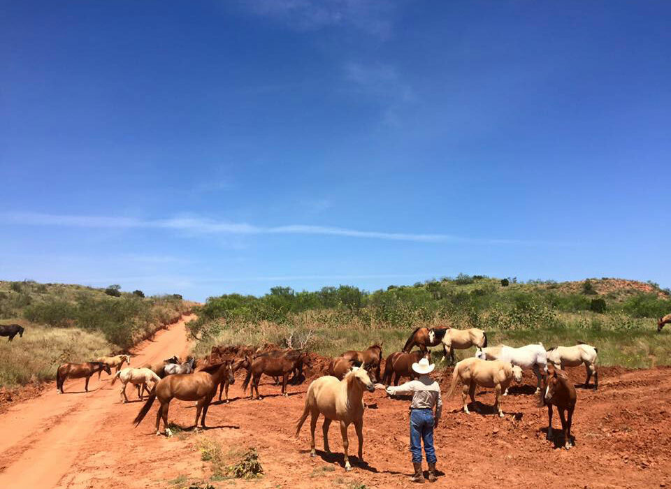 Established in 1853, King Ranch gave birth to America’s ranching industry. Courtesy photo