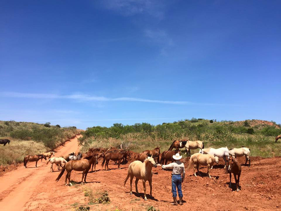 Established in 1853, King Ranch gave birth to America’s ranching industry. Courtesy photo