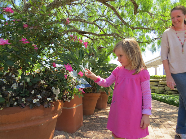 Three-year-old Chiara Inguattoggiato gets an up-close look at the begonias in the Xeriscape Learning Center & Design GardenCenter at the Corpus Christi Museum of Science and History. Staff Photo