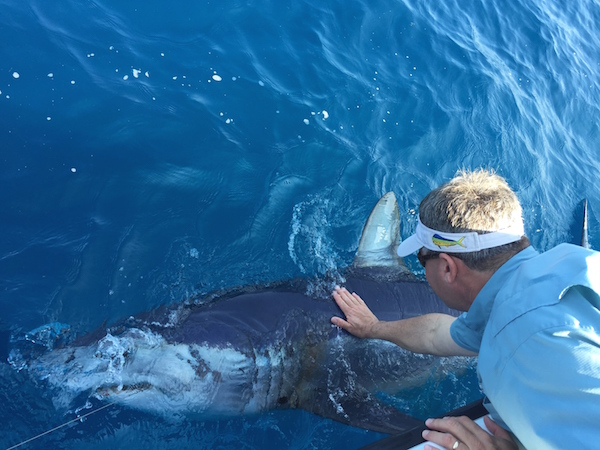 Greg Stunz of the Harte Research Center at Texas A&M University-Corpus Christi pets a mako shark while shooting footage of the elusive mammal for Discovery Channel’s 'Shark Week.' The footage was shot in March and will be aired at 9 p.m. July 5 on the Discovery Channel. Courtesy photo